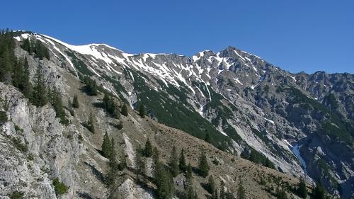 Schellschlicht 